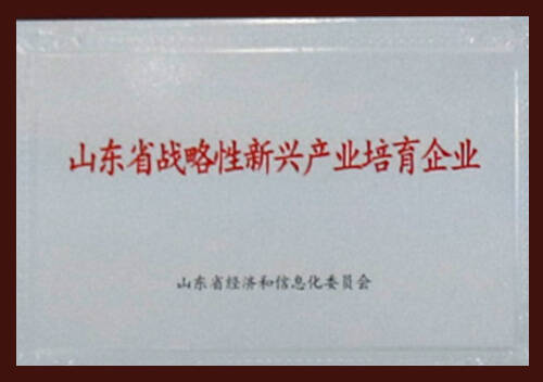 المؤسسة الناشئة المدعومة استراتيجياً في مقاطعة شاندونغ